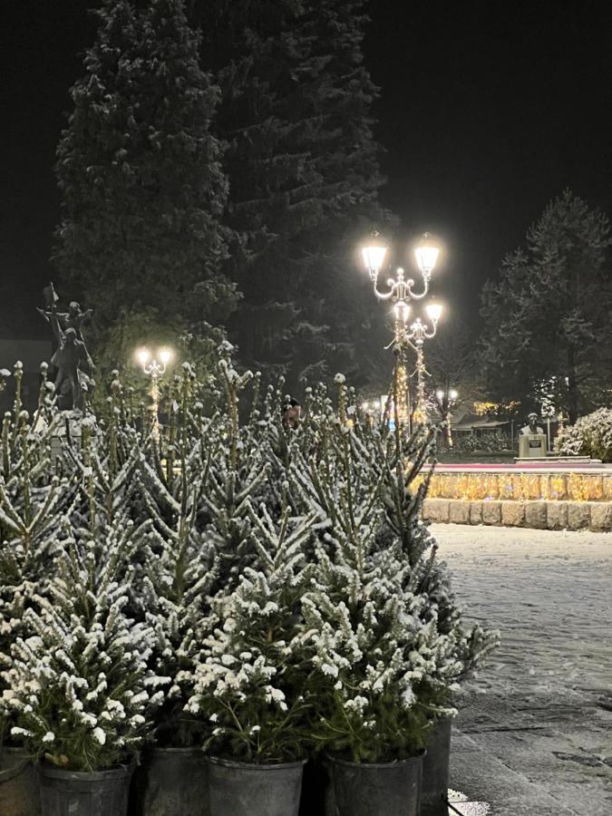 Laf Guest House Kolašin Екстериор снимка